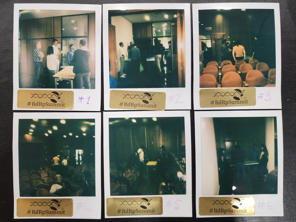 Day 1 of #RdRpSummit was fantastic! Speed-dating with the red flags of RdRps was an absolute success 💪