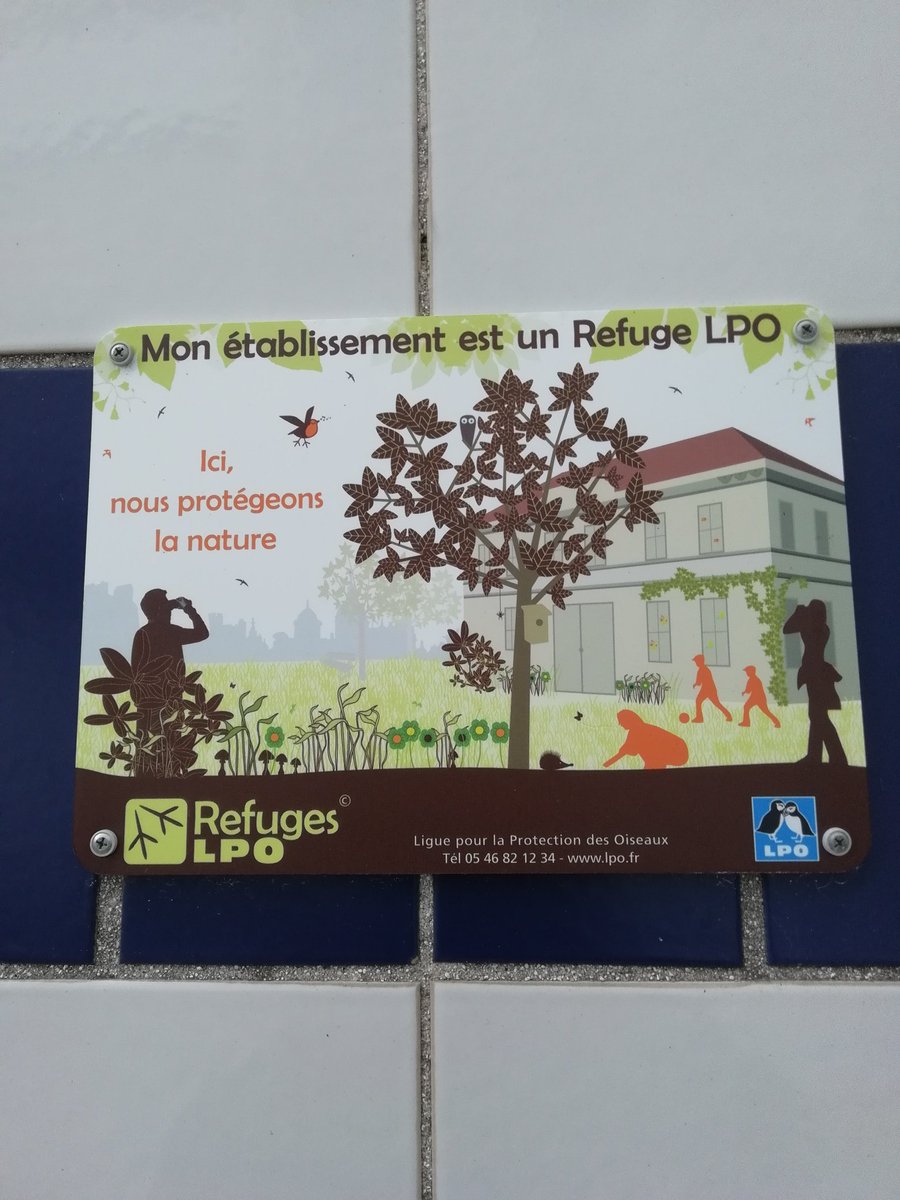 fellowfry's tweet photo. Bird themed art in Calais France a nice break. #LPO #Leagueprotectionoiseux https://t.co/sVBqAoKwhi
