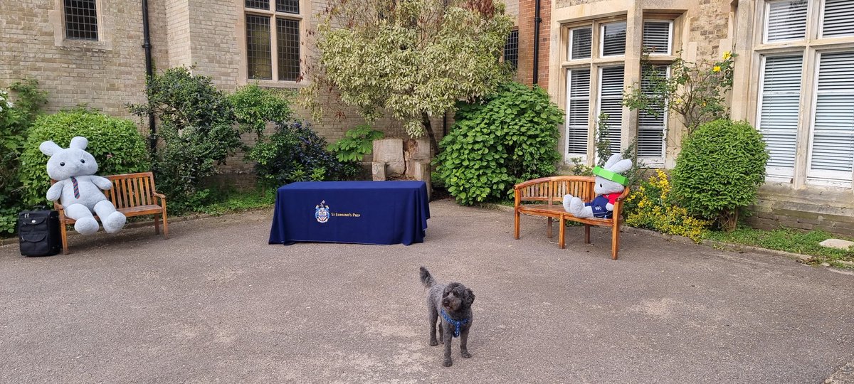 StEdmundsPrep's tweet photo. Induction Day. Somehow we need to get these wabbits to talk...welcome to the Prep newbies...it's a 'hare' raising experience! https://t.co/mcaJ6a8x3V