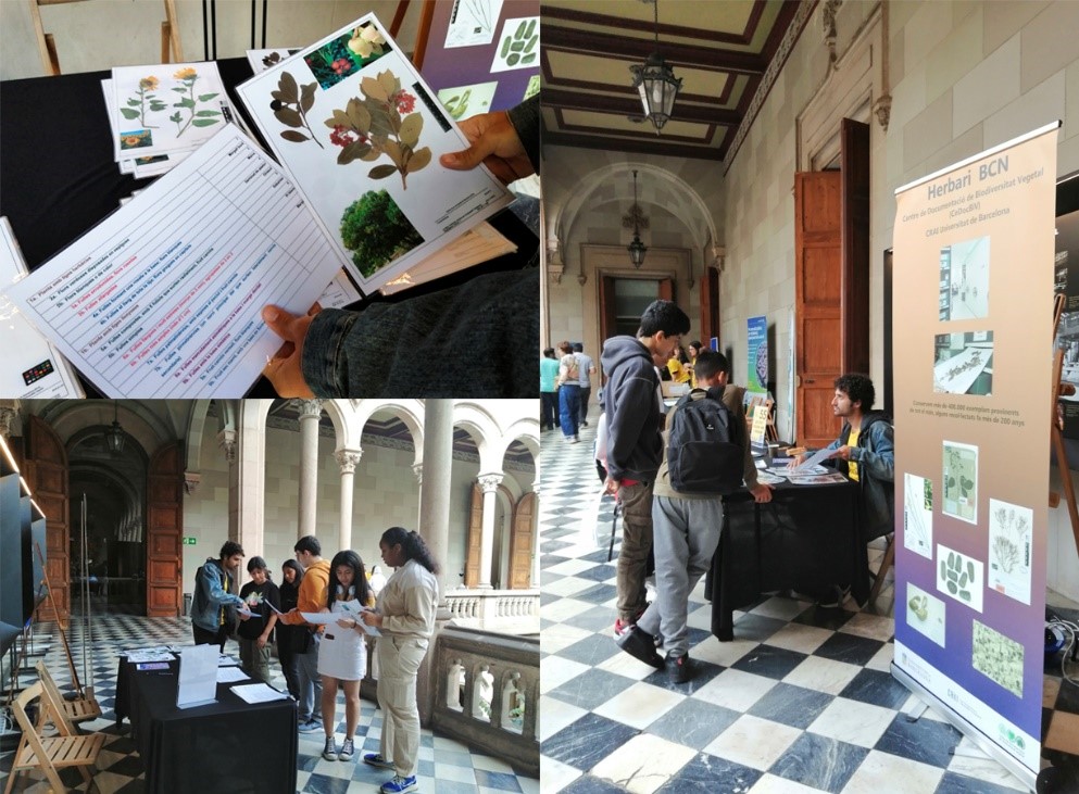 crai_ub's tweet photo. 🌿 Participació del Centre de Documentació de Biodiversitat Vegetal #CeDocBiV @HerbariBCN del #CRAIUB a la IX Festa de la Ciència de la @unibarcelona amb el taller 🌱⁉️ Qui soc? Juguem amb l’herbari.
ℹ️ https://t.co/3mLv8M2SJL
🌿 Herbari Docent 👉 https://t.co/U4hYx8svpj https://t.co/okUPQ48YHG