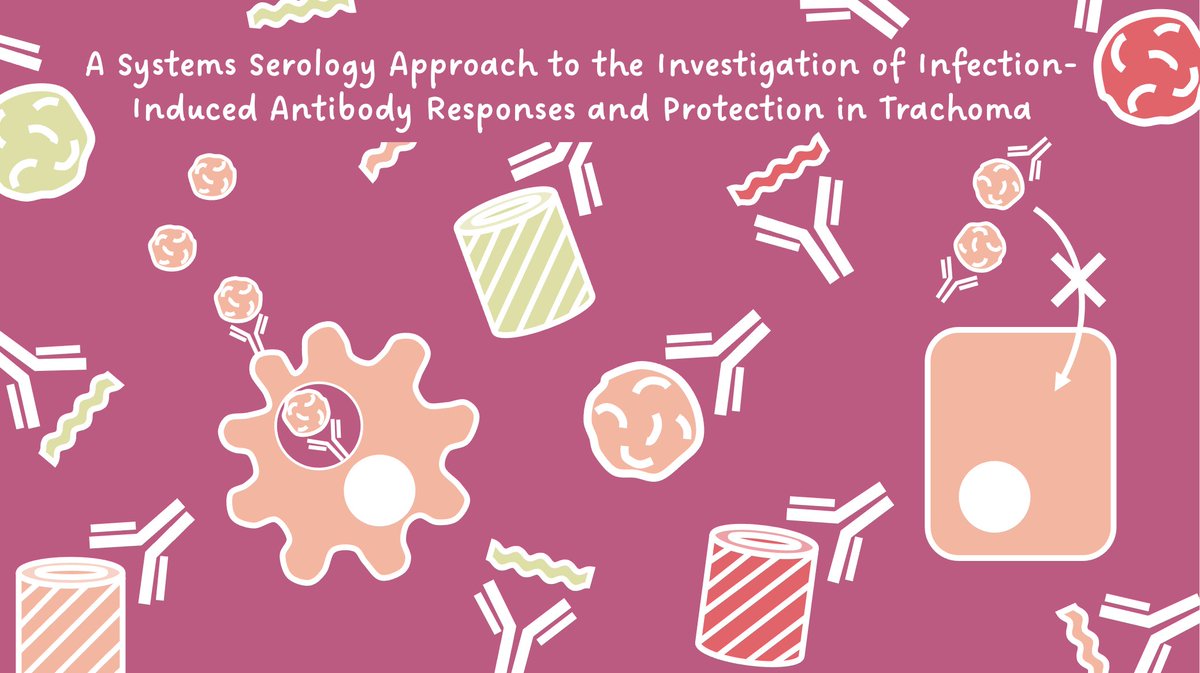 Amber Barton (@amberjoybarton) on Twitter photo New publication with <a href="/LSHTM/">London School of Hygiene & Tropical Medicine</a> and <a href="/SSI_dk/">Statens Serum Institut</a> out in <a href="/FrontImmunol/">Frontiers - Immunology</a> today! Using systems serology we found that systemic IgG and functional antibody responses were not associated with protection against ocular Chlamydia infections doi.org/10.3389/fimmu.… New publication with <a href="/LSHTM/">London School of Hygiene & Tropical Medicine</a> and <a href="/SSI_dk/">Statens Serum Institut</a> out in <a href="/FrontImmunol/">Frontiers - Immunology</a> today! Using systems serology we found that systemic IgG and functional antibody responses were not associated with protection against ocular Chlamydia infections doi.org/10.3389/fimmu.…