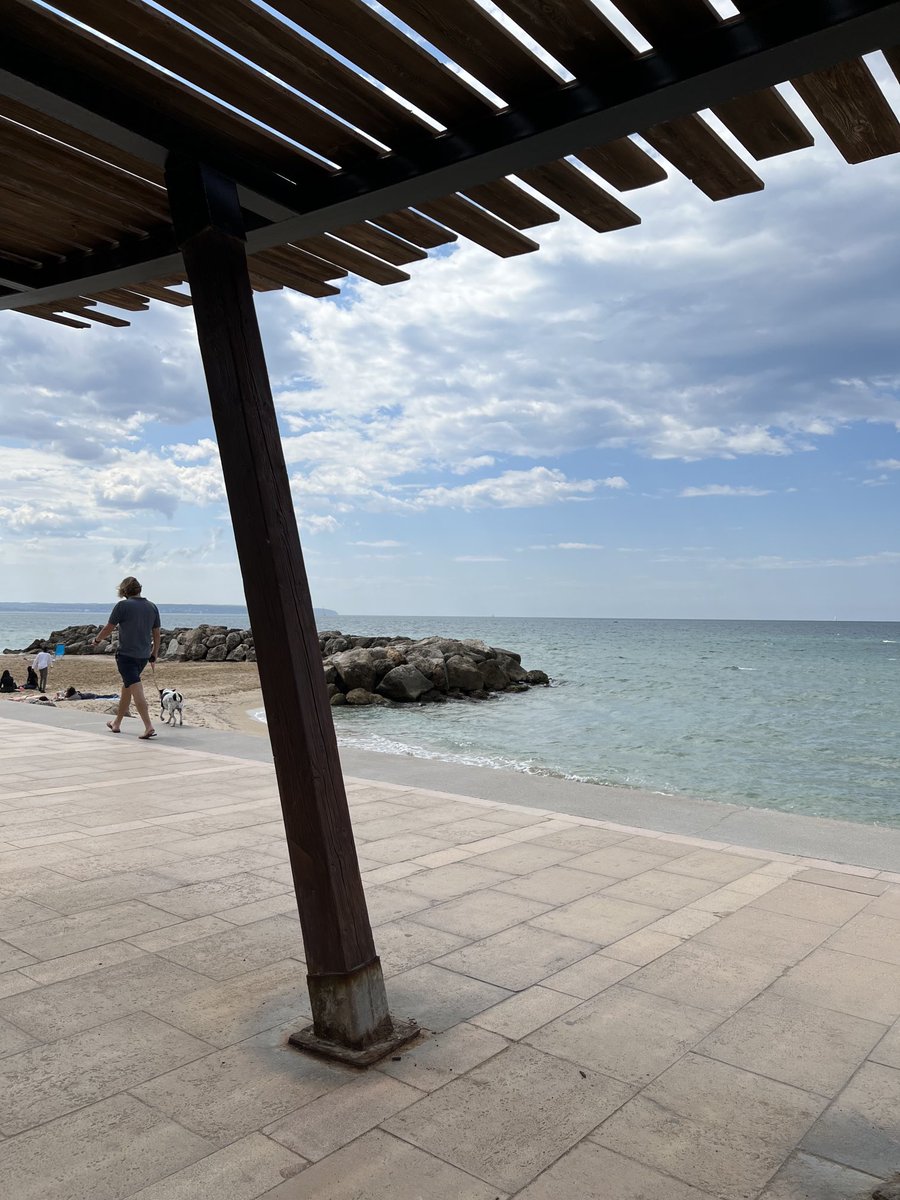 chemahormigos's tweet photo. En el Portichol #Mallorca España. 🇪🇸🇪🇸 https://t.co/rrsfuEKu1b
