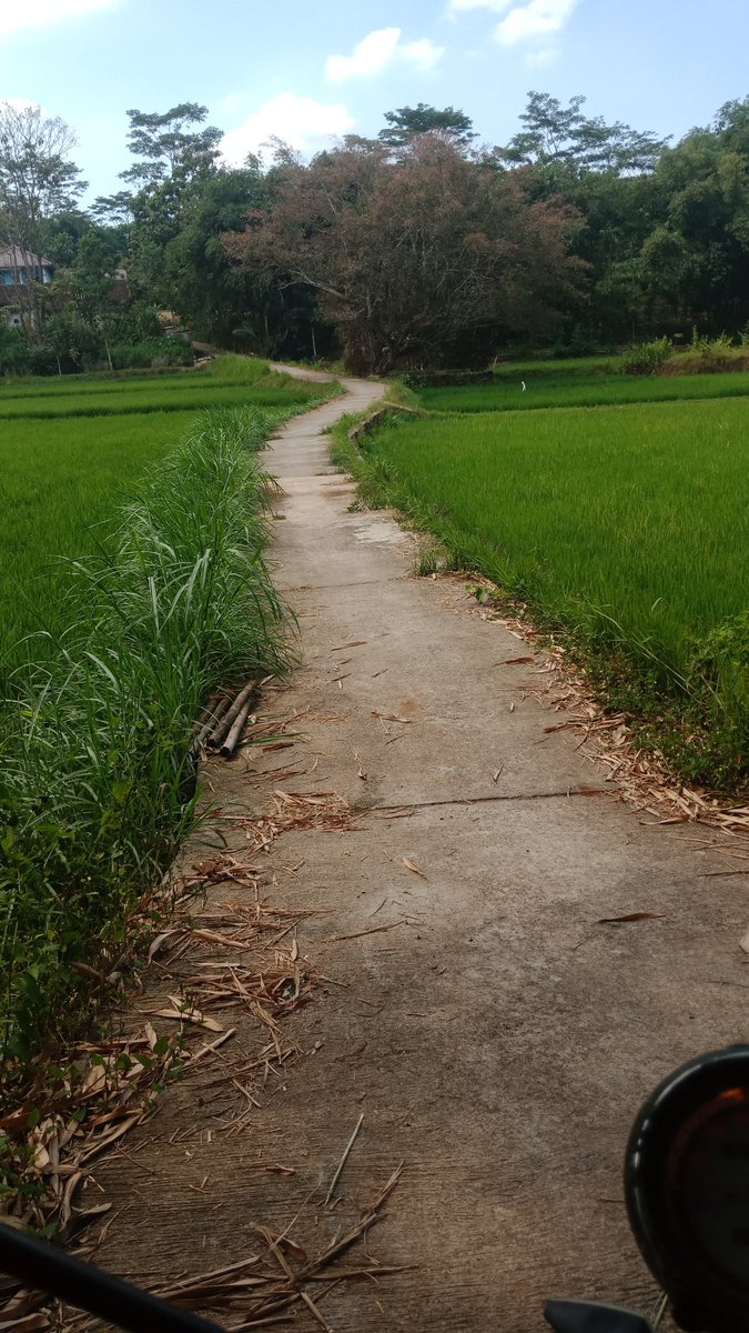 NugrohoBoas's tweet photo. @JhonniSinaga20 @jokowi Petani berterima kasih jln dh bgus masuk tengah sawah https://t.co/hgvlechWYC