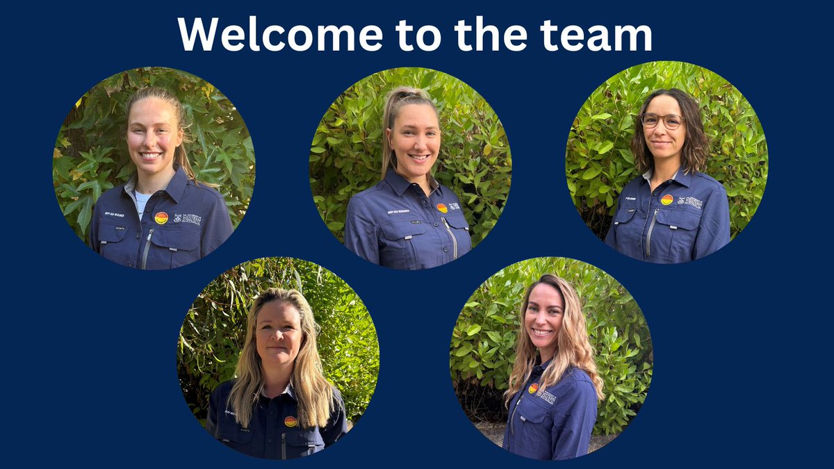 deepseauwa's tweet photo. The deep-sea team increases in abundance  https://t.co/lUeoqYeGmt via @hadal_research @megan_cundy @hayleybsims https://t.co/WdiZjAuqom
