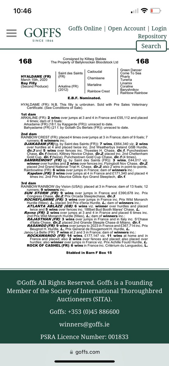 bridgebuachaill's tweet photo. Three weeks today to the @Goffs1866 #arkle sale. This year we have two exceptional lots: rising star of the NH stallion ranks a #maskedmarvel gelding (lot 261), and a very special Saint des Saints filly, a 3 parts sister to #Djakadam #sambremont (lot 168) #winners #kilbegstables https://t.co/xwixASV2Jf