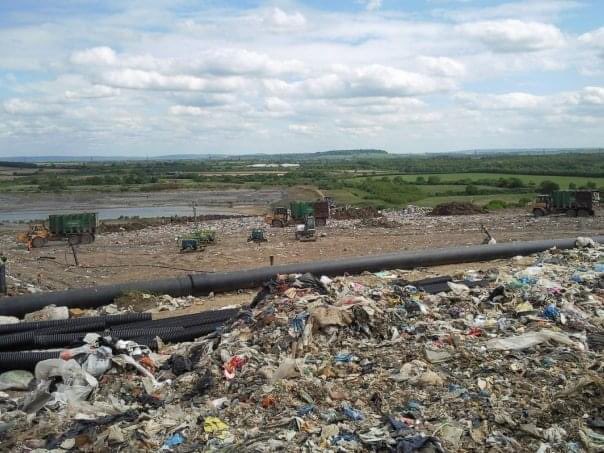 The Municipal Oracle tweet media