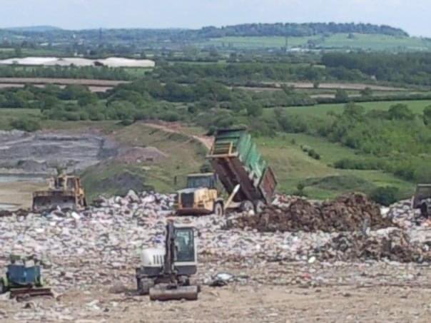 The Municipal Oracle tweet media