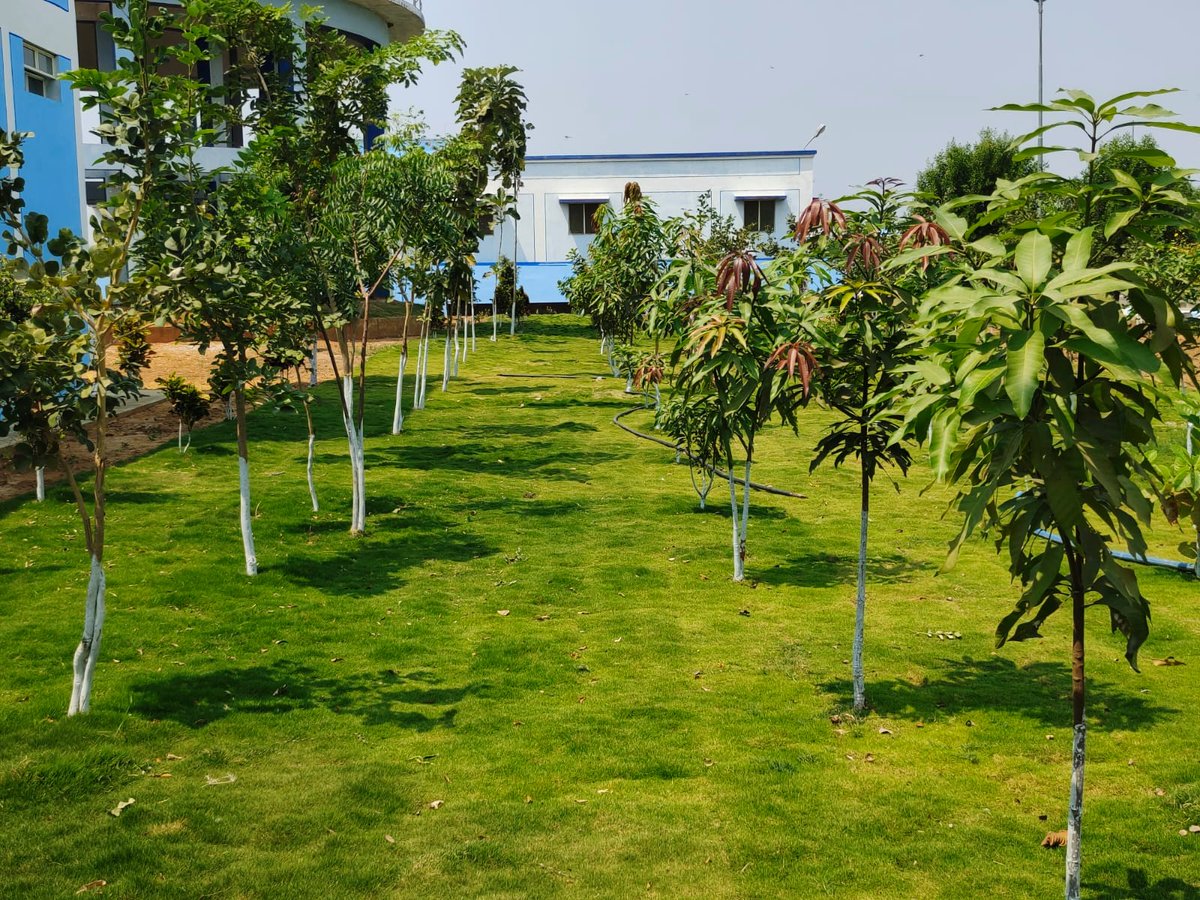 Smita Sabharwal (@smitasabharwal) on Twitter photo Go Green🌳 to save the Blue💧
<a href="/mb_telangana/">Mission Bhagiratha Official</a> covers every inch of its 1600 acre premises with the promise of a greener planet 🌏
#BiodiversityDay #MissionBhagiratha 💧 Go Green🌳 to save the Blue💧
<a href="/mb_telangana/">Mission Bhagiratha Official</a> covers every inch of its 1600 acre premises with the promise of a greener planet 🌏
#BiodiversityDay #MissionBhagiratha 💧