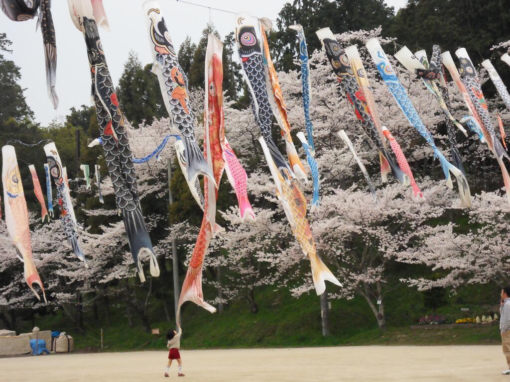 Children's Day (koinobori) in Japan via /r/travelphotos ift.tt/kifQBGO