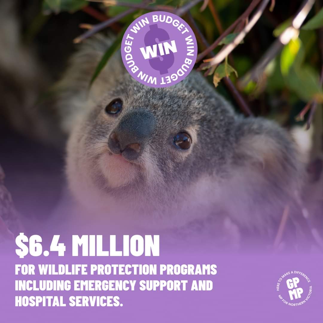 AJP_Victoria's tweet photo. "Today was huge for animals!

The state budget has just been handed down &amp; we have secured tens of millions of dollars for animal protection.
Until we were here, there was nobody to submit funding requests on behalf of them!

I'll be sharing more soon ..."
- @georgievpurcell https://t.co/RXXdsIo3Vb