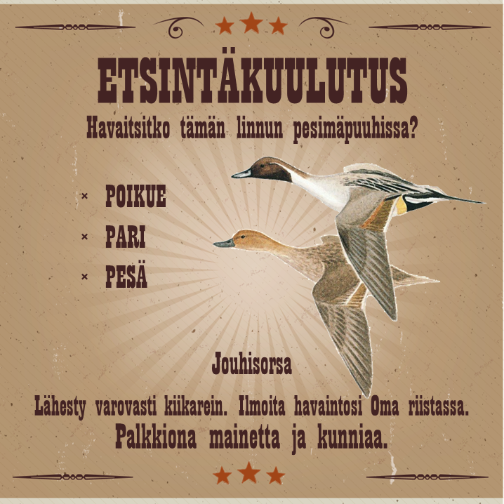 Olitpa sitten kalareissulla, mökkilaiturilla lekottelemassa tai luonnossa patikoimassa, ilmoita Oma riistaan havaintosi riistalintujen pesimäpuuhista! Pari-, poikue-, soidin- ja pesähavainnot auttavat kartoittamaan lintujen pesimälevinneisyyttä. 
#Lintuatlas #linnut #riistatieto
