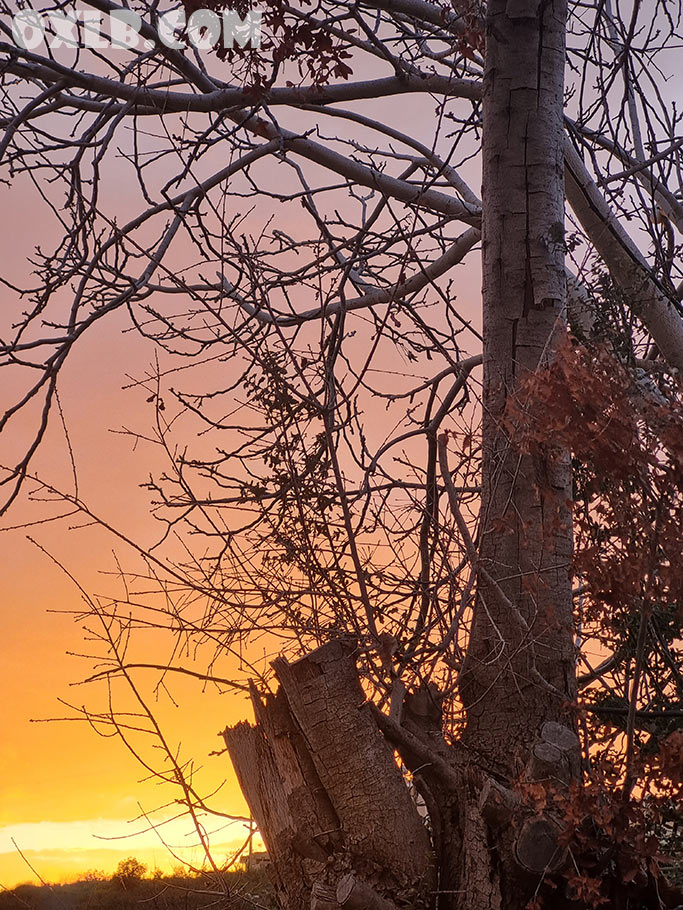 The beautiful sunset in Lebanon... asking God to preserve our Beloved Lebanon! actenow.com

#lebanon #god #godblesslebanon #blesslebanon #godlebanon #belovedlebanon