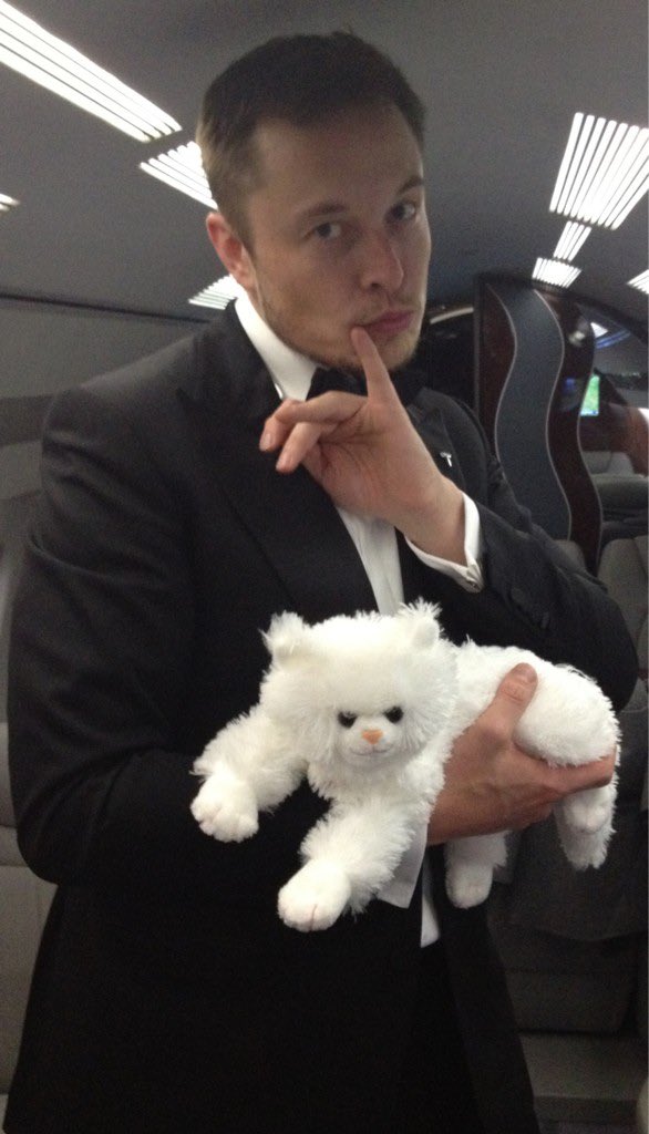 DogeDesigner tweet media