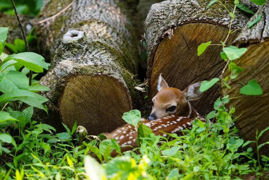 Brain Gain tweet media