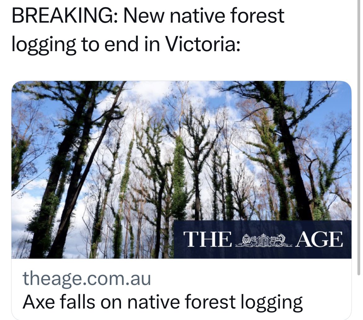 Dan-made disaster cynically announced on budget day without telling unions or owners. In 15 years as MP I’ve never been more disgusted with a decision than today’s announcement Victoria will ban all native timber harvesting in 2024. A plan to kill country towns. <a href="/michael47818552/">michael o'connor</a>