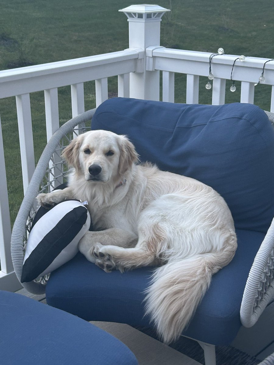 Mike Fleischman tweet media