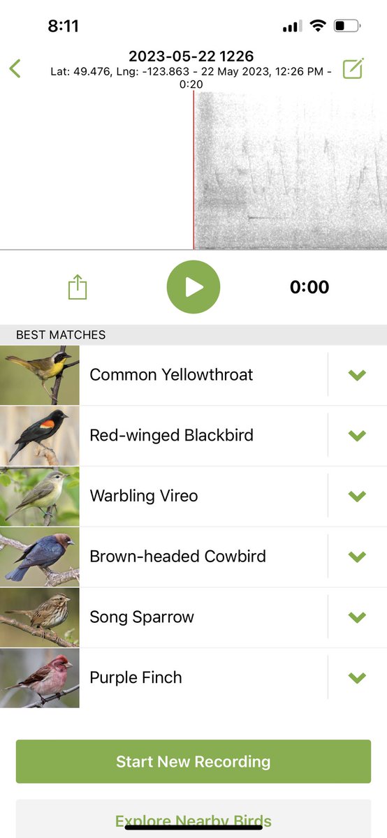 Andrew Derocher tweet media