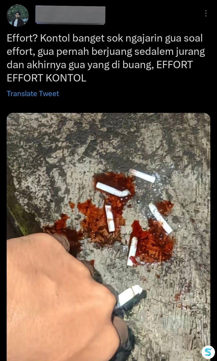 🦈 SUROBOYOFESS 🐊 tweet media