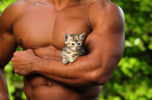 " Do. . . You think my kitten is cute? "