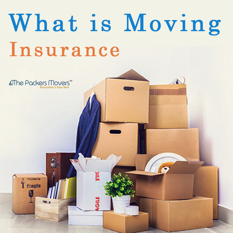 Thepackersmovers.com on Twitter: 