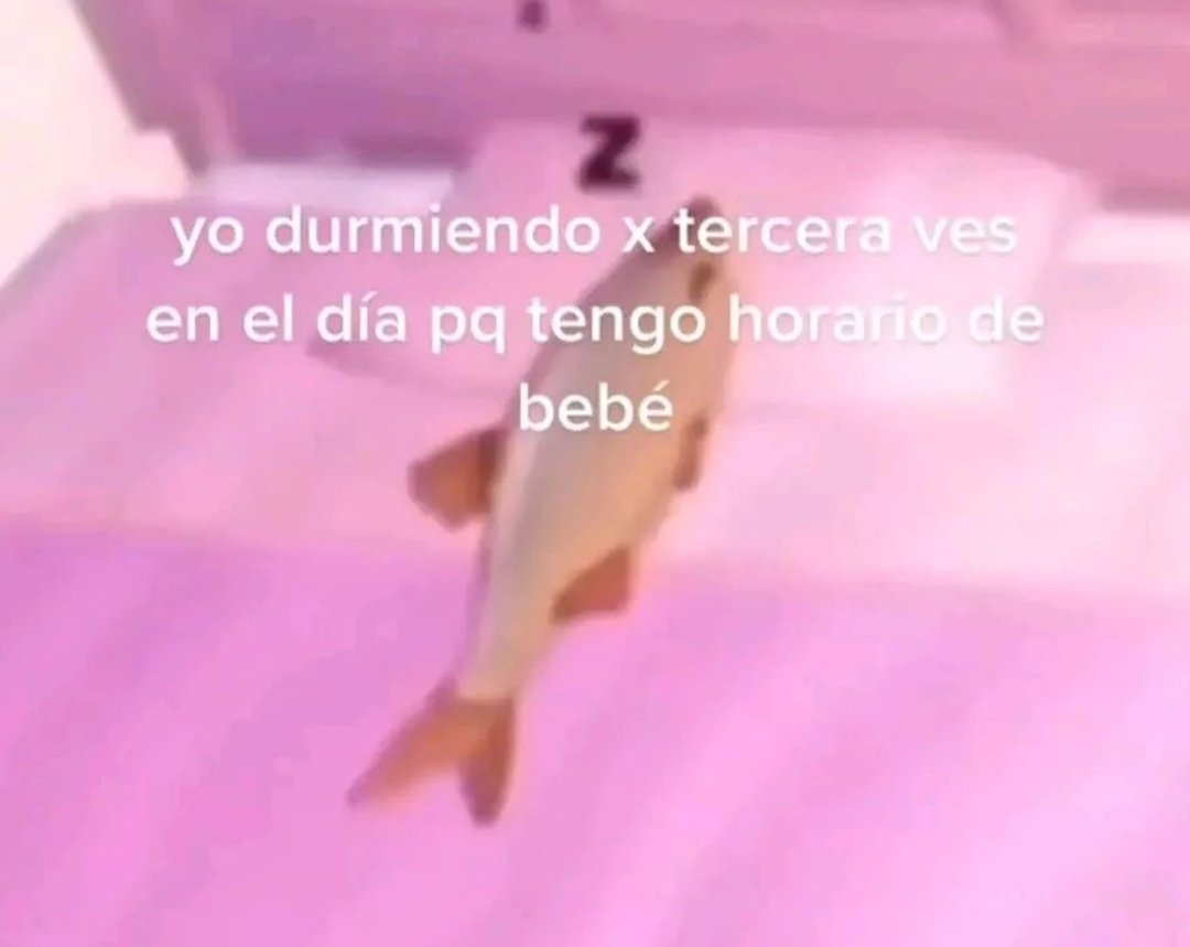 Así es.