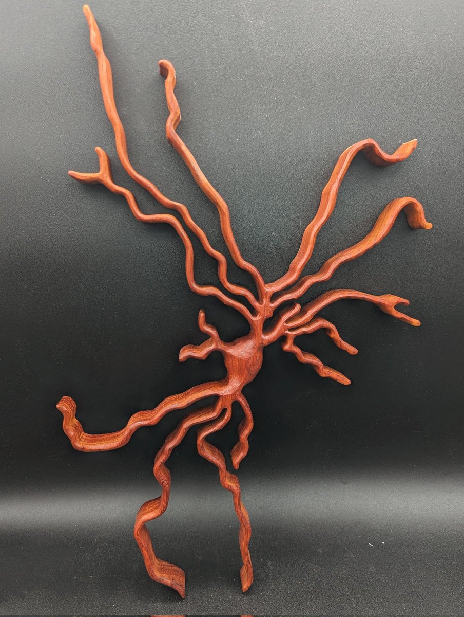 This week will be busy in the shop. I will have to catch up with a lot of orders after getting a bug. First brain cell of the week, a medium spiny #neuron made with padauk wood. #basalganglia