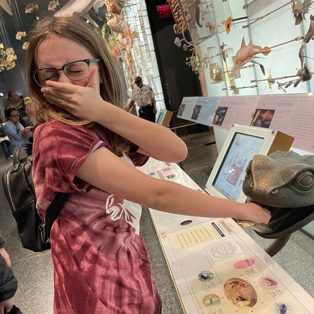 Covington Middle School exploring the @AMNH 🦖

#covingtontakesnewyork #newyorkcity #americanmuseumofnaturalhistory #gocolts #aisdfinearts @aisdarts @austinisd @austinisdpac @covingtonmsfaa