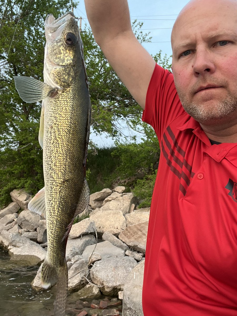 Dan Masters tweet media