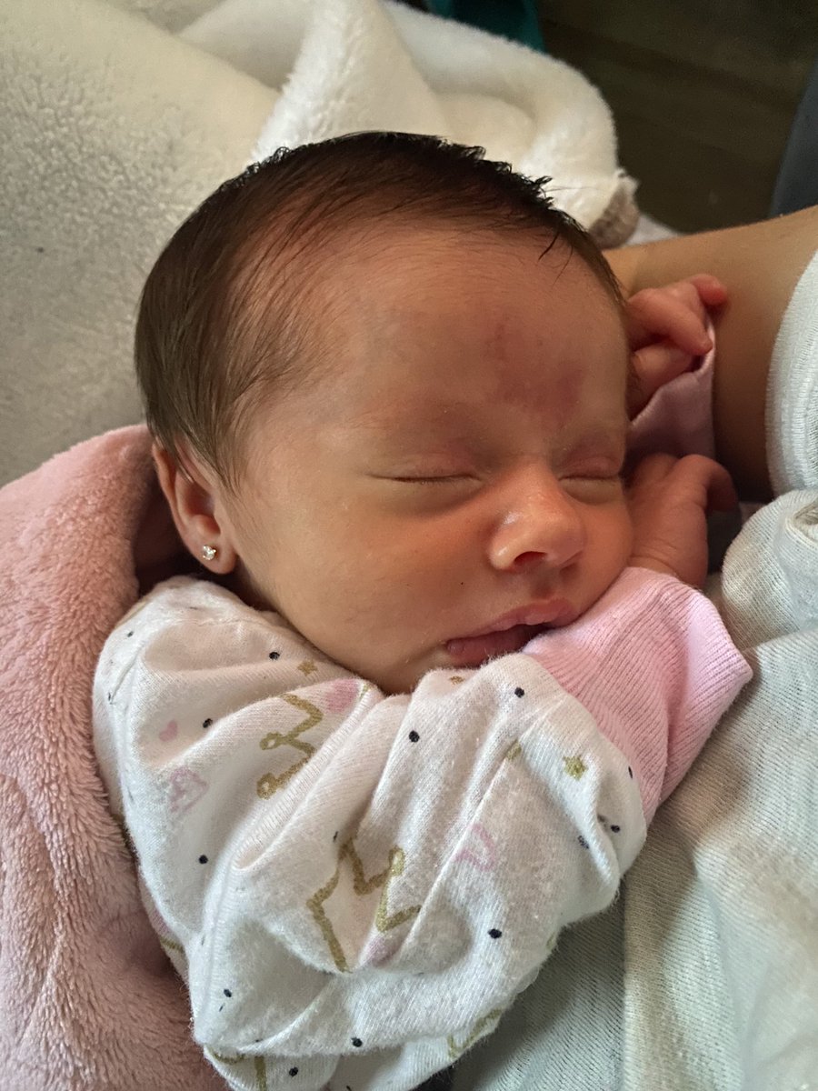 Miren esta cosita hermosa 😍