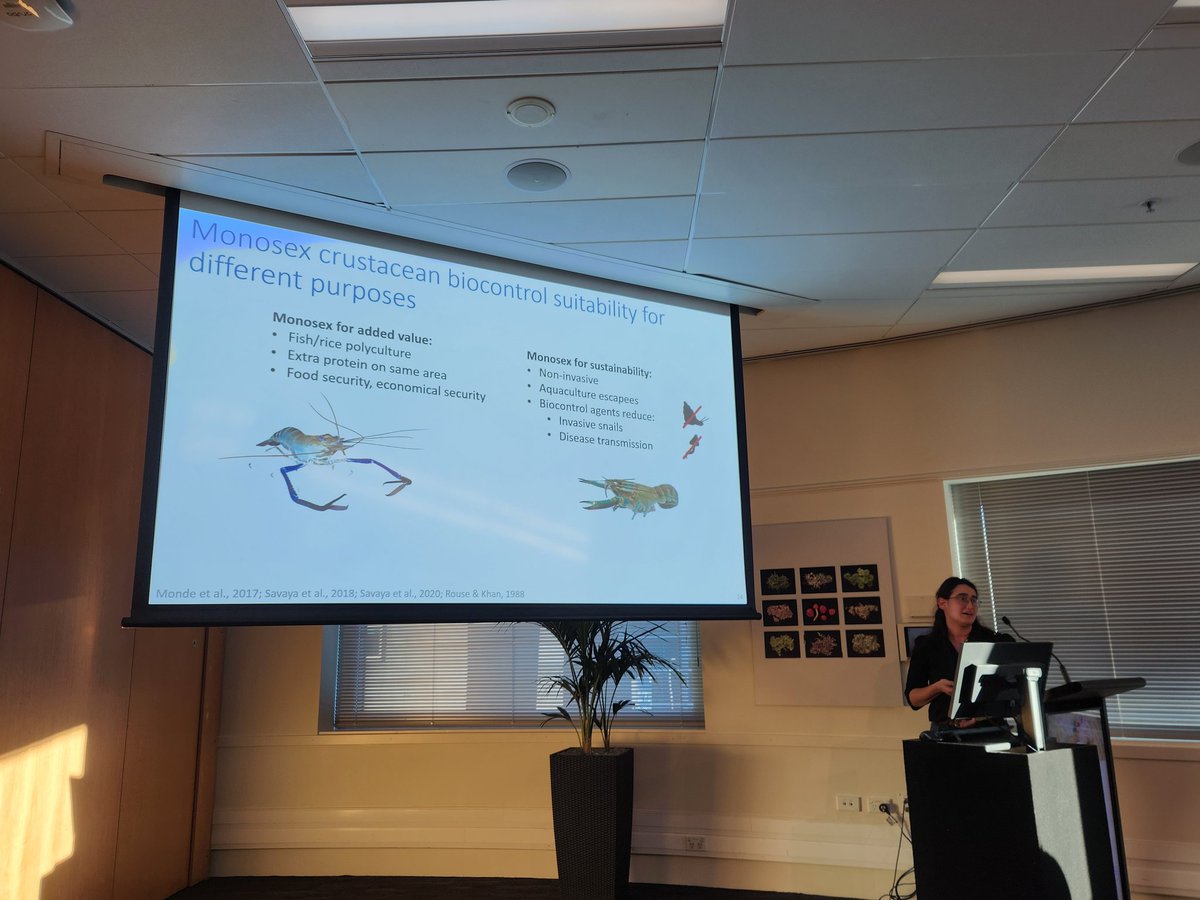 Escargot anyone? Day 2 of #ICC10: Informative presentation by Sharon Moscovitz, sharing on how monosex prawns 🦐 and crayfish 🦞 can be used as a valuable and sustainable method of biocontrol agents against pest snails