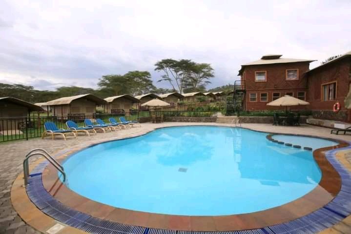 Unleash Your Inner Wanderer: Your Unique Journey Starts at Lake Naivasha Country Club

'Your Perfect Getaway Awaits at Lake Naivasha Country Club: Spectacular Views, Luxurious Accommodations, and Endless Serenity.

 Book Today: 
LIPA MDOGO MDOGO AVAILABLE #HolidayGetaway