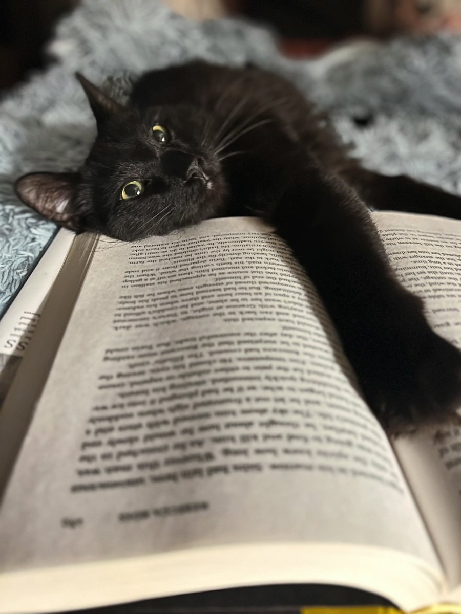 SBLitAgent's tweet photo. The sweetest bookmark 🖤 https://t.co/fMy4uBoEMj