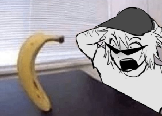 dailybrostrider's tweet photo. day 34
banan https://t.co/vXqCzMdEeR