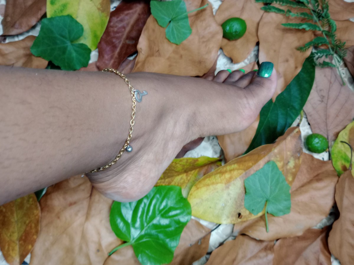 BBoxSurprise's tweet photo. Save the world!! Be green~~😏
.
.
Telegram:/blackboxsurprise
.
!#feet #feetfethish #feetfinder #feetfetiche #feetcontent #feetpicsforsales #FeetPictures #feetseller #feet_pic #feetpic #feetfam #feetworshi̇p #feet_pic #feet #feets #feetworshi̇p https://t.co/5W0gp8mjfn