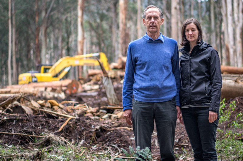 Ellen Sandell tweet media