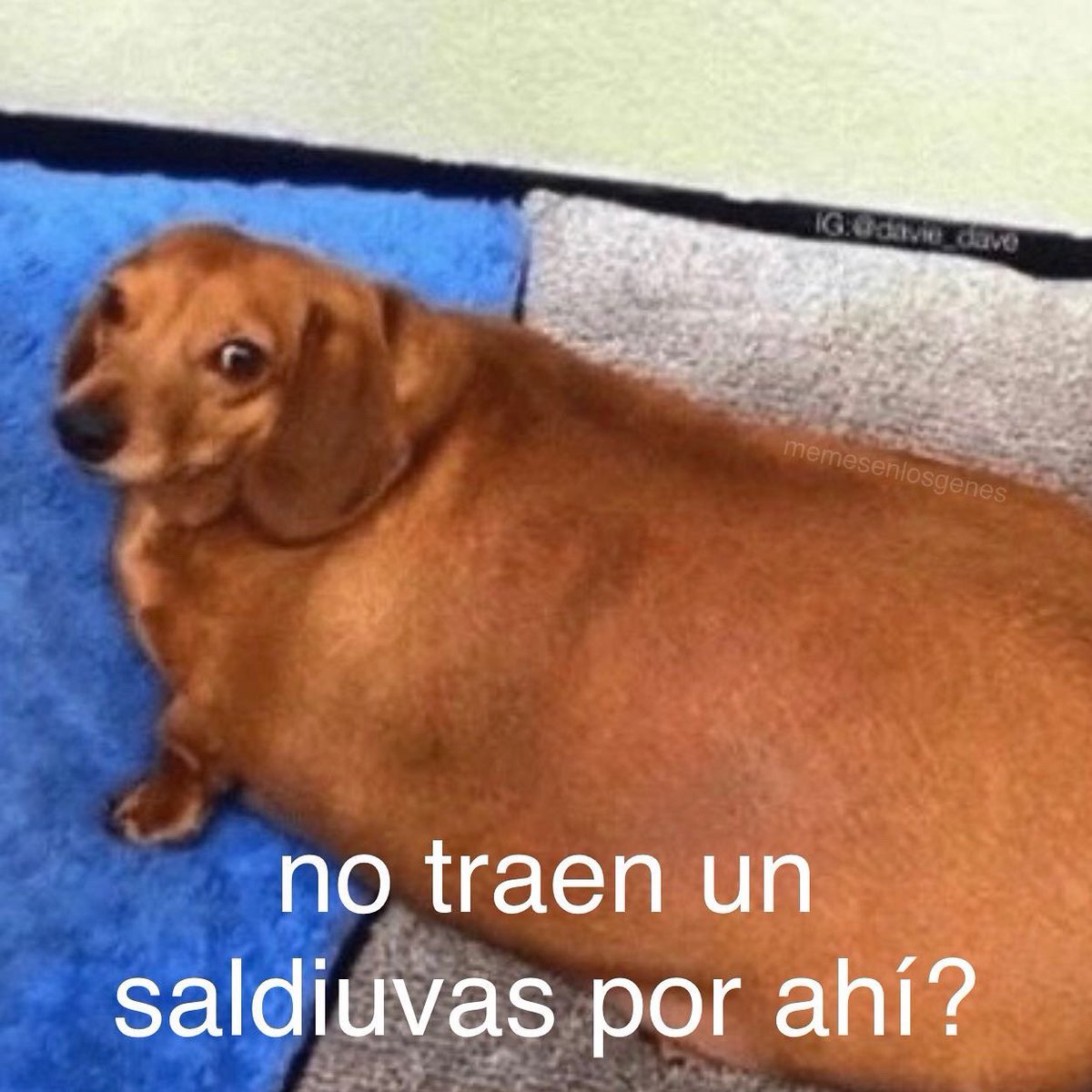 memesenlosgenes's tweet photo. https://t.co/o9lXBZZcHb