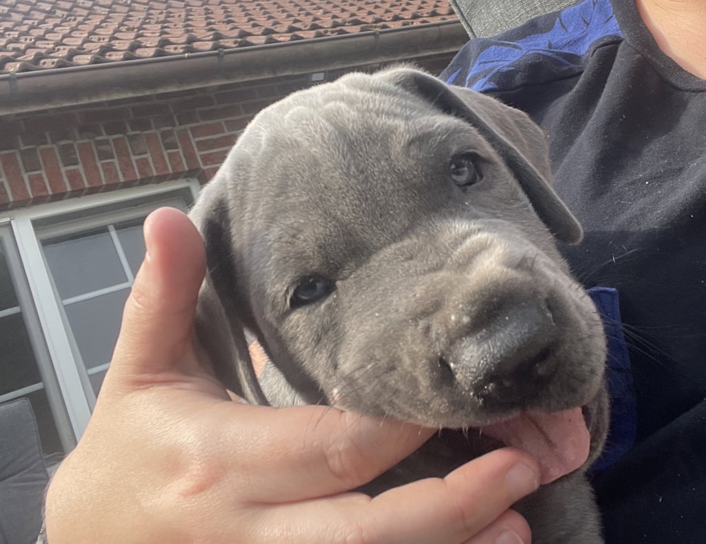 Aftermath tweet media