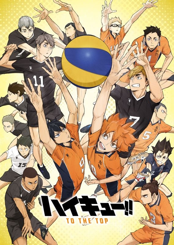 Netflix India to Premiere Haikyuu & - Anime News India