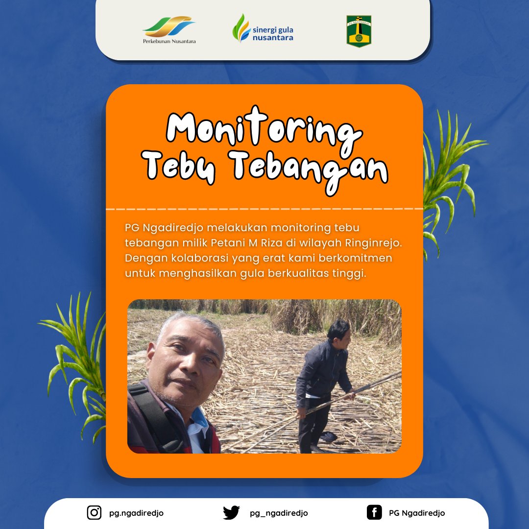 pg_ngadiredjo's tweet photo. Melalui kolaborasi yang erat dengan petani, kami berupaya menjalin kemitraan yang kuat dan berkelanjutan demi keberhasilan bersama. 

#sinergigulanusantara
#pgngadiredjo
#kedirilagi
#petanitebu https://t.co/0lI77nXJbu