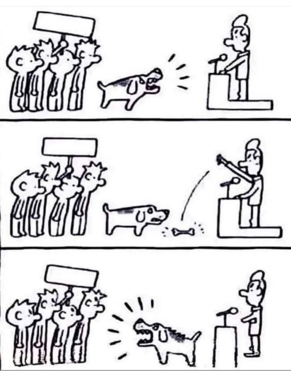 Türkiyede politika
Mizah değildir!