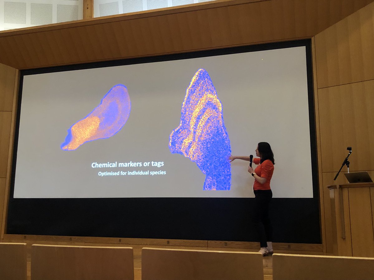 <a href="/Zoe_Doubleday/">Dr Zoë Doubleday</a> explaining all of the different things we can learn from chemical analyses of biogenic carbonates in marine animals <a href="/6Isc2022/">6thISC2023</a> 🐟🦪🐙🐚
<a href="/MARISLabs/">MARIS Lab</a> <a href="/UniSAFII/">UniSA Future Industries Institute</a>