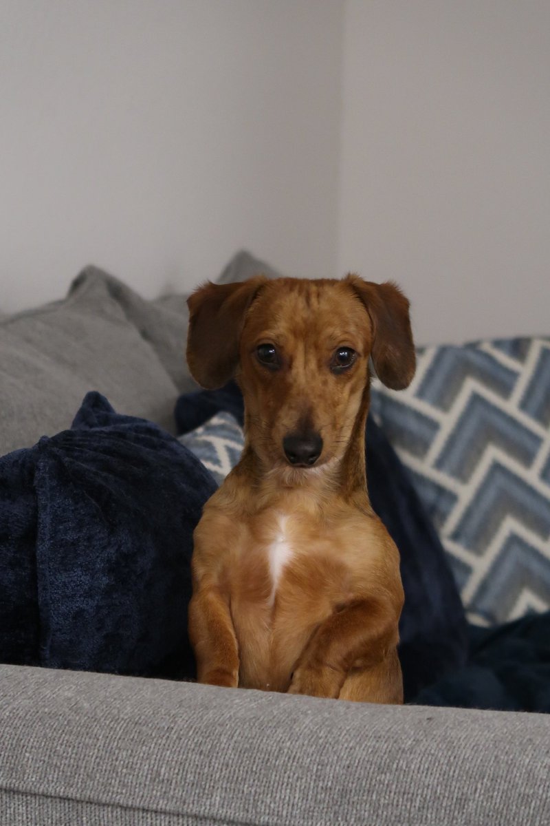 Suleidy | UGC Creator tweet media