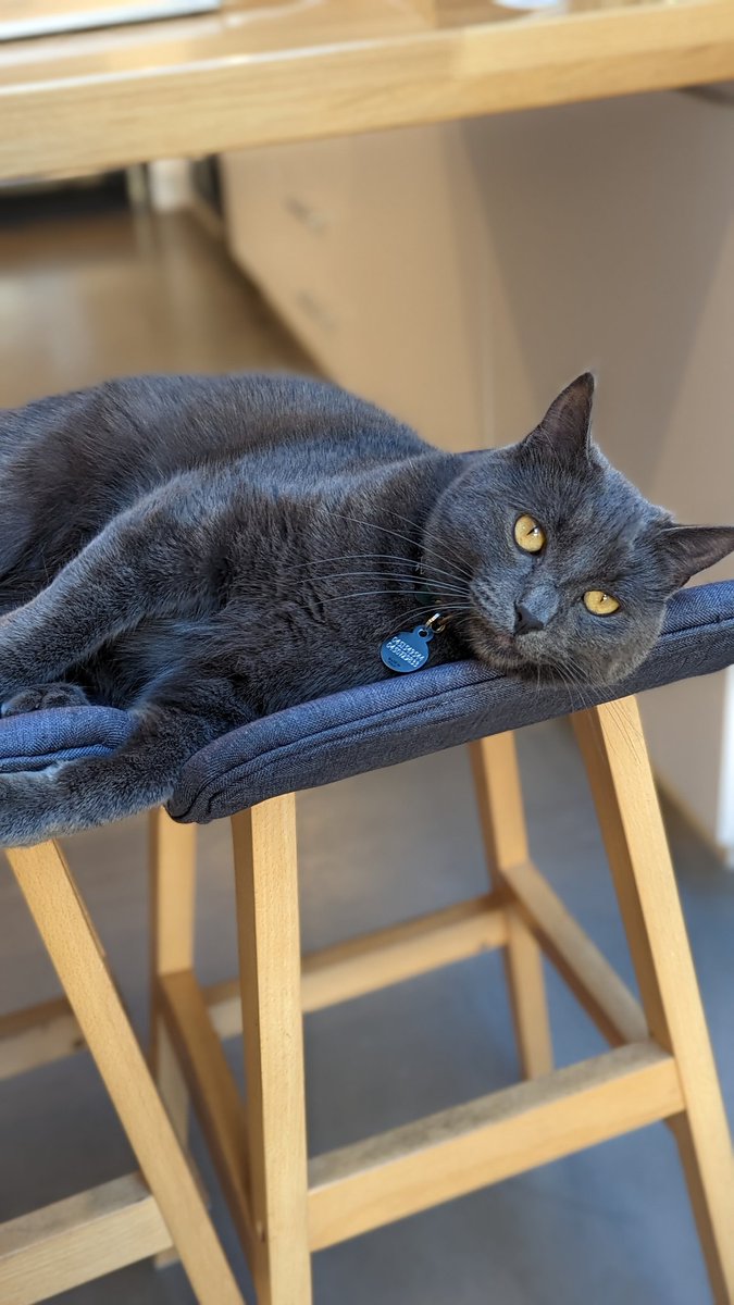 Hamish Hawthorn tweet media