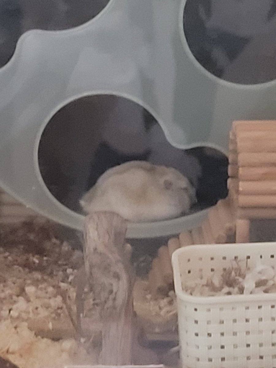 버들이네 백페🌾 (@byokawaii) on Twitter photo 