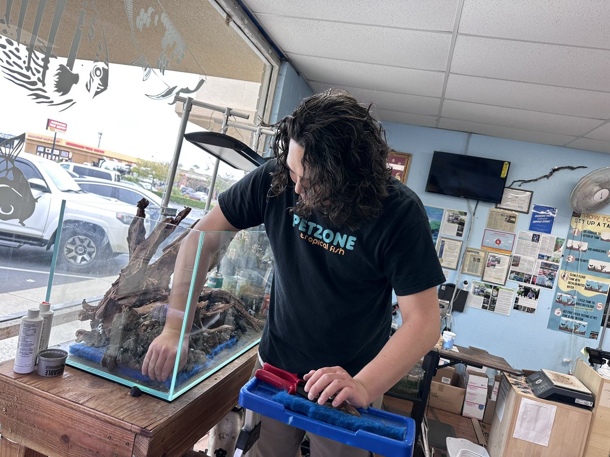 🐠🌿Take a sneak peek at our latest creation - a second 44-gallon #aquascape, set up strategically at our store's front window! But this is just the beginning. Something fishy is on its way, and we bet you can't wait to see what we're up to! #AquascapeAdventure #ComingSoon