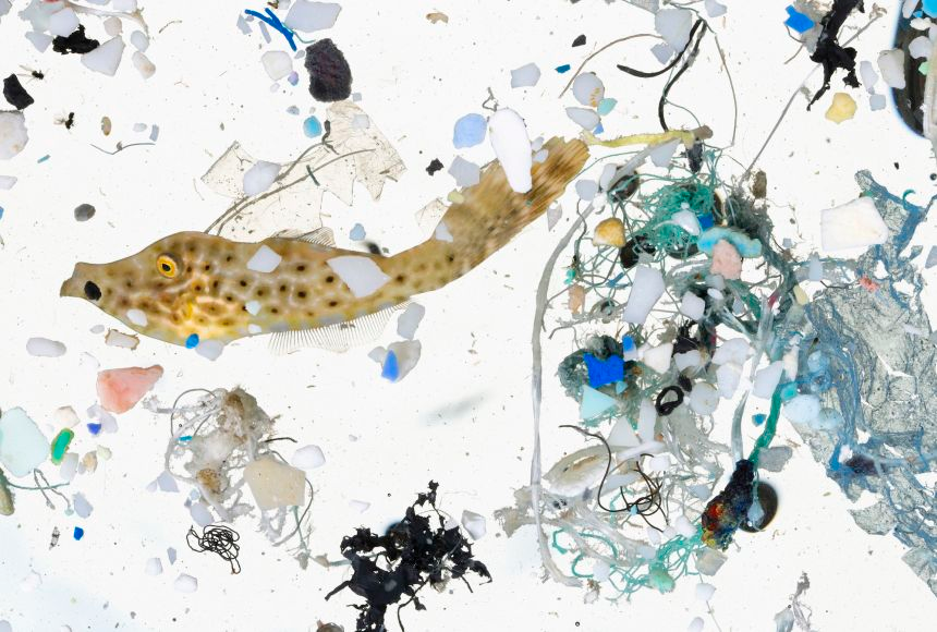 SystemsBiotech's tweet photo. We need to reach a healthy zero #plastic environment. By developing biologics edited by #MachineLearning we can help to fight, for instance, this 👉https://t.co/b3xSY9JhXC
#BioMachine https://t.co/loD5INWuh9
