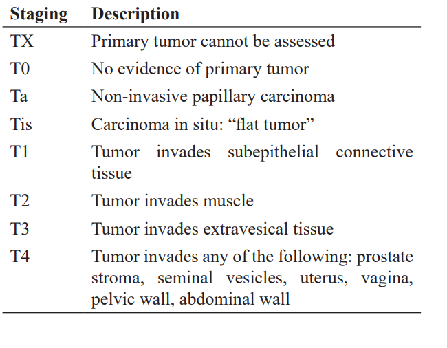 Cancer_Whioce's tweet photo. 📌#HighlyCitedPaper The Role of FGFR3 in the Diagnosis and Treatment of Bladder Cancer: A Review
By: Hairong Wei,et al.
https://t.co/DnqjryKhoj
#Diagnosis #Bladder #Cancer https://t.co/RXDWzlLRpd