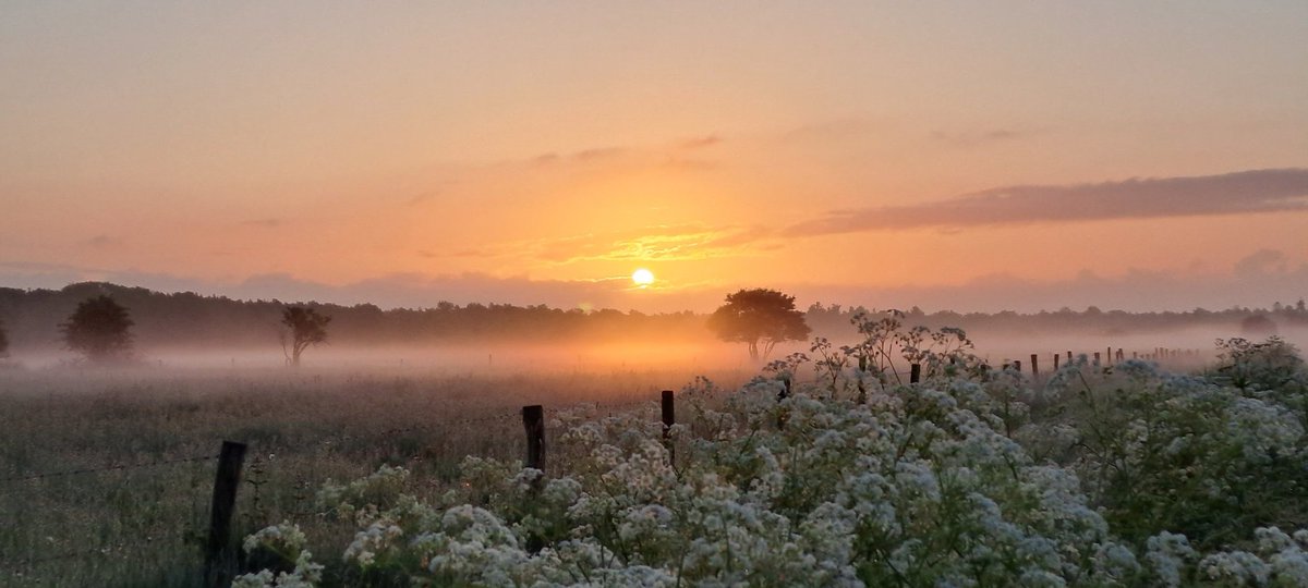 Heleenverduijn's tweet photo. @bosw8er_jochem #Hengstven; #Kraaiennest, #Ackerdijkseplassen #DeCocksdorp  #zonsopkomst https://t.co/UKmnkKItVM