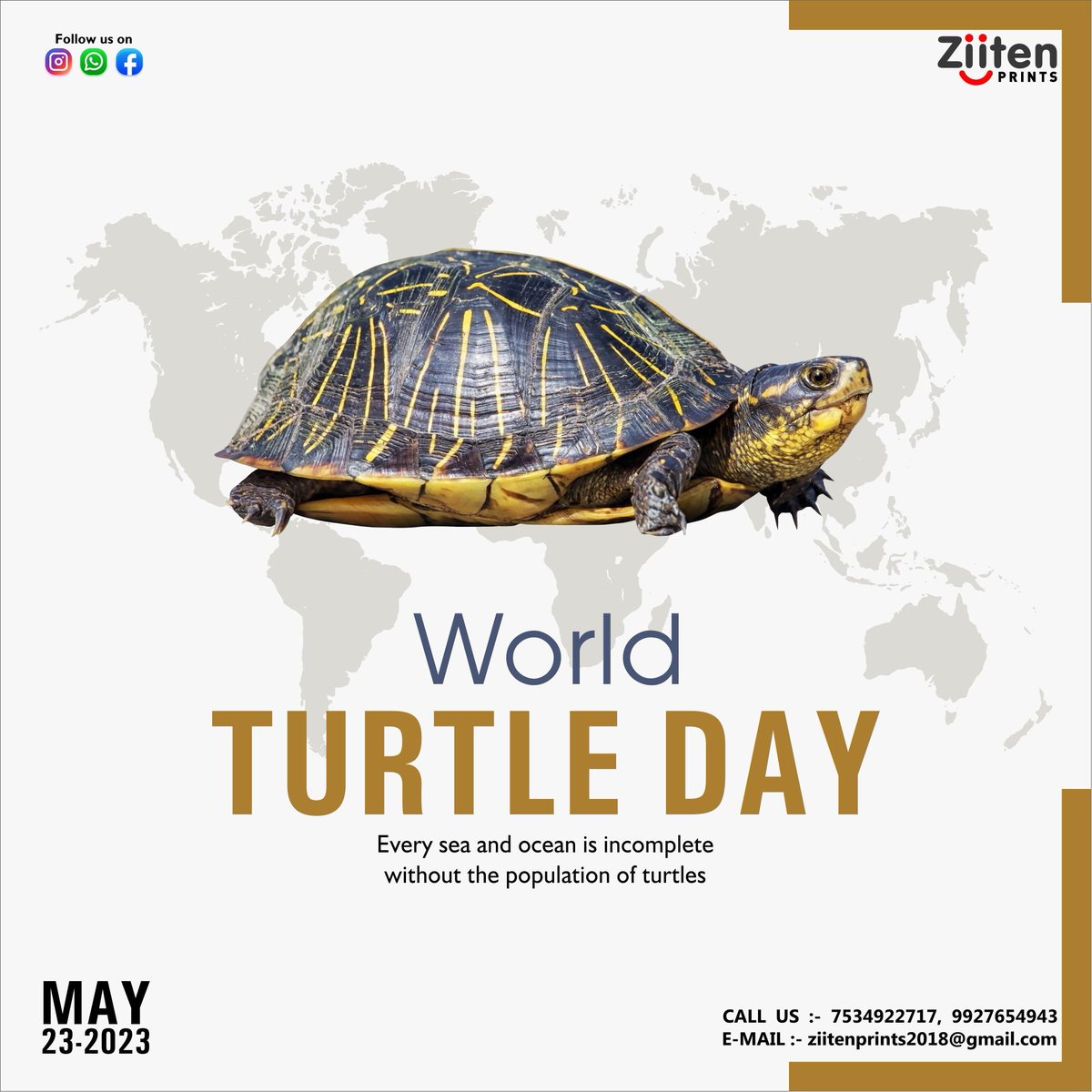 #turtletuesday #tortoises #turtlelife #turtlelover #turtle🐢 #seaturtles #turtlesofinstagram #turtlepower #turtle #turtlelove