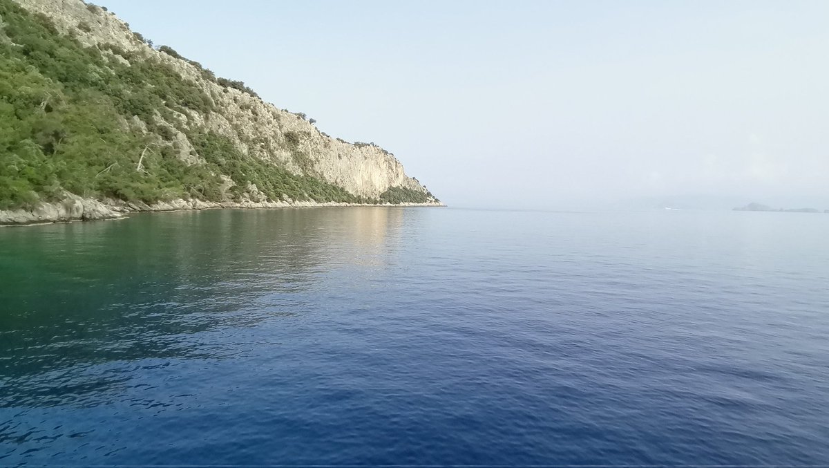 captain0189's tweet photo. Mesai dediğin böyle olmalı 😁
#carsamba #fethiye #oludeniz #mugla #work #sealife #sailors https://t.co/H3WHrn6I8P